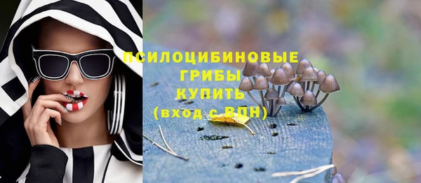 стаф Каменка