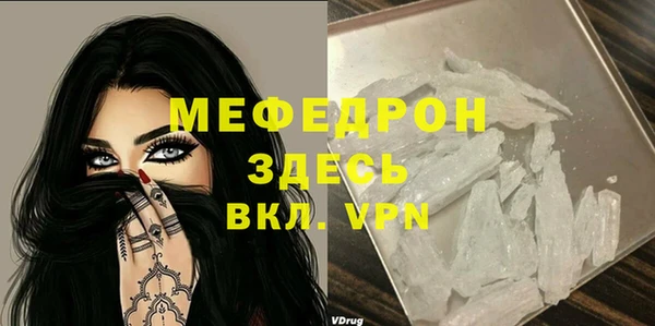 стаф Каменка