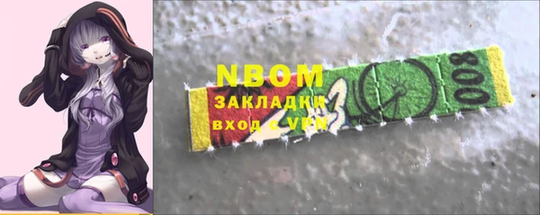 стаф Каменка