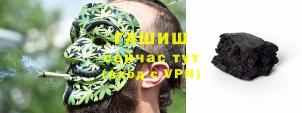 стаф Каменка