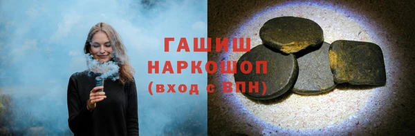 стаф Каменка