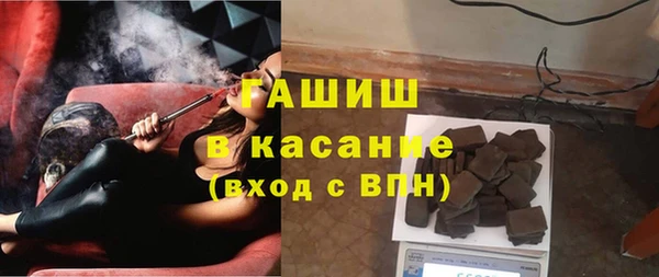 стаф Каменка