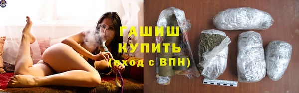 стаф Каменка