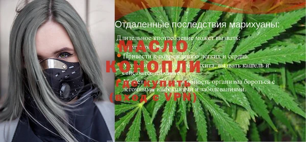 стаф Каменка