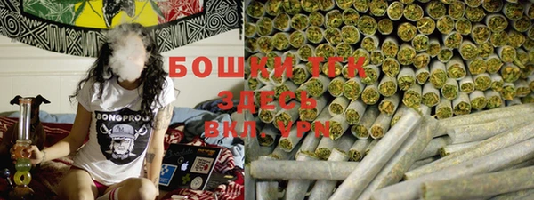 стаф Каменка