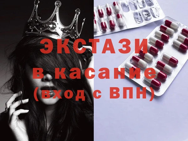 стаф Каменка