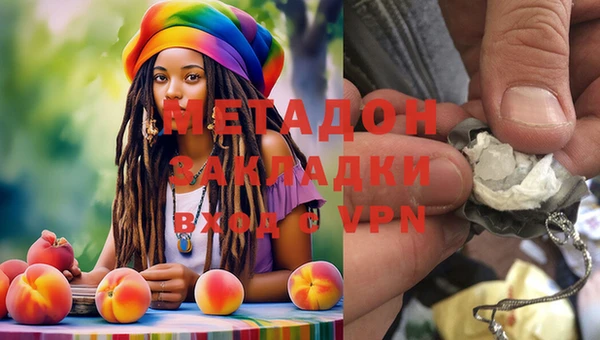 стаф Каменка