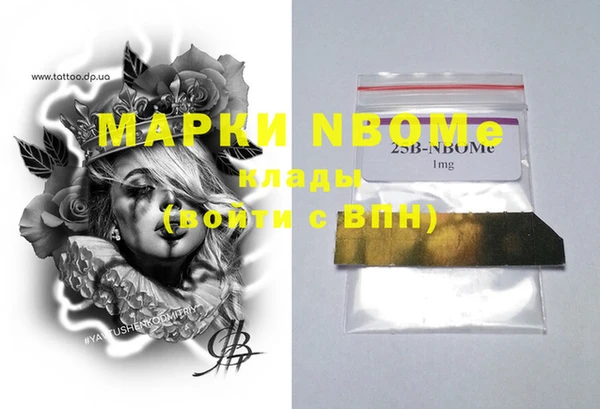 стаф Каменка