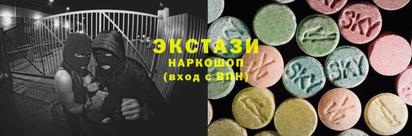 стаф Каменка