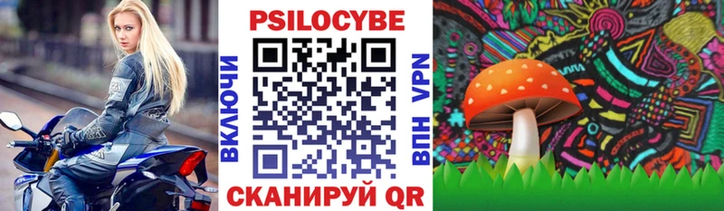 Галлюциногенные грибы Psilocybe  Новошахтинск 